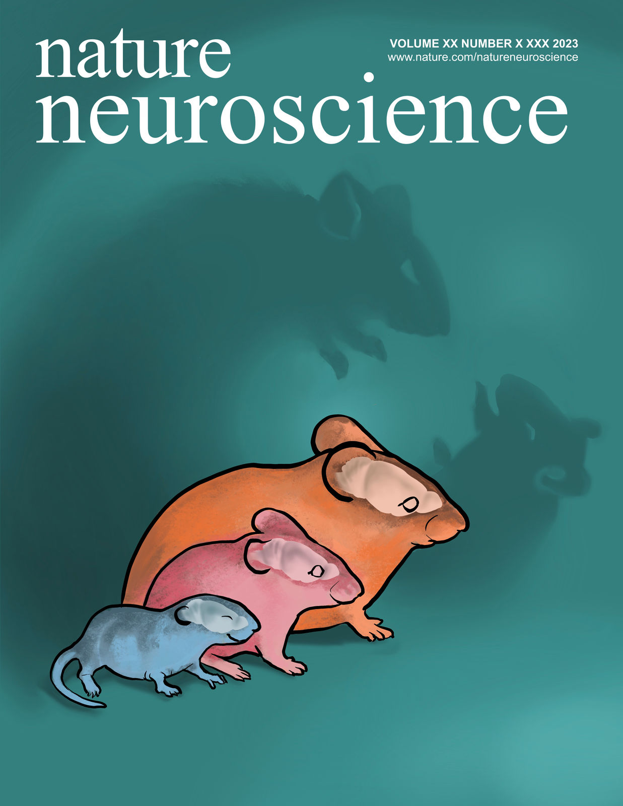 Postdoc paper is now out in Nature Neuroscience! 🥳 🧠