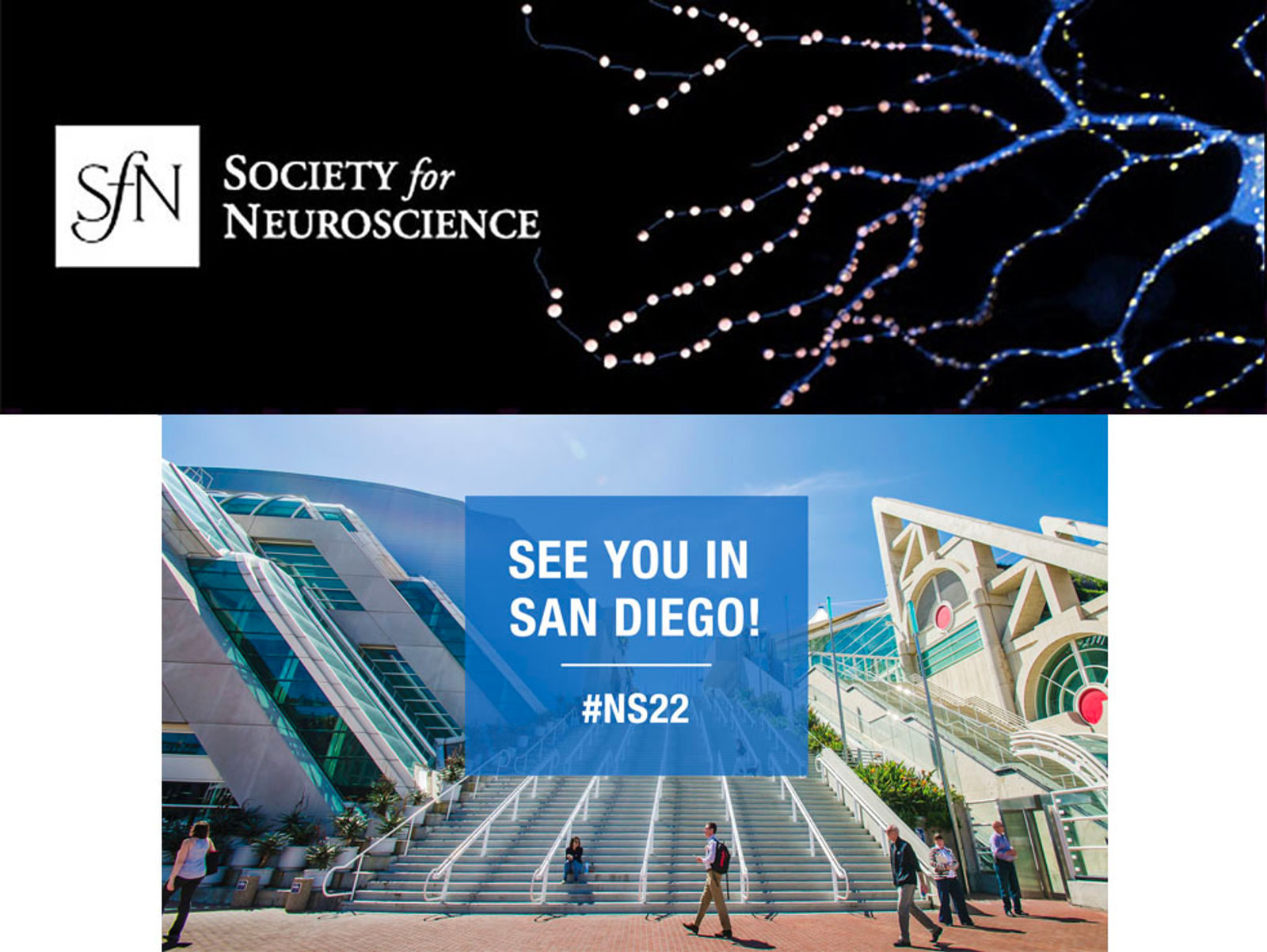 Julieta receives the Society for Neuroscience Trainee Professional Development Award